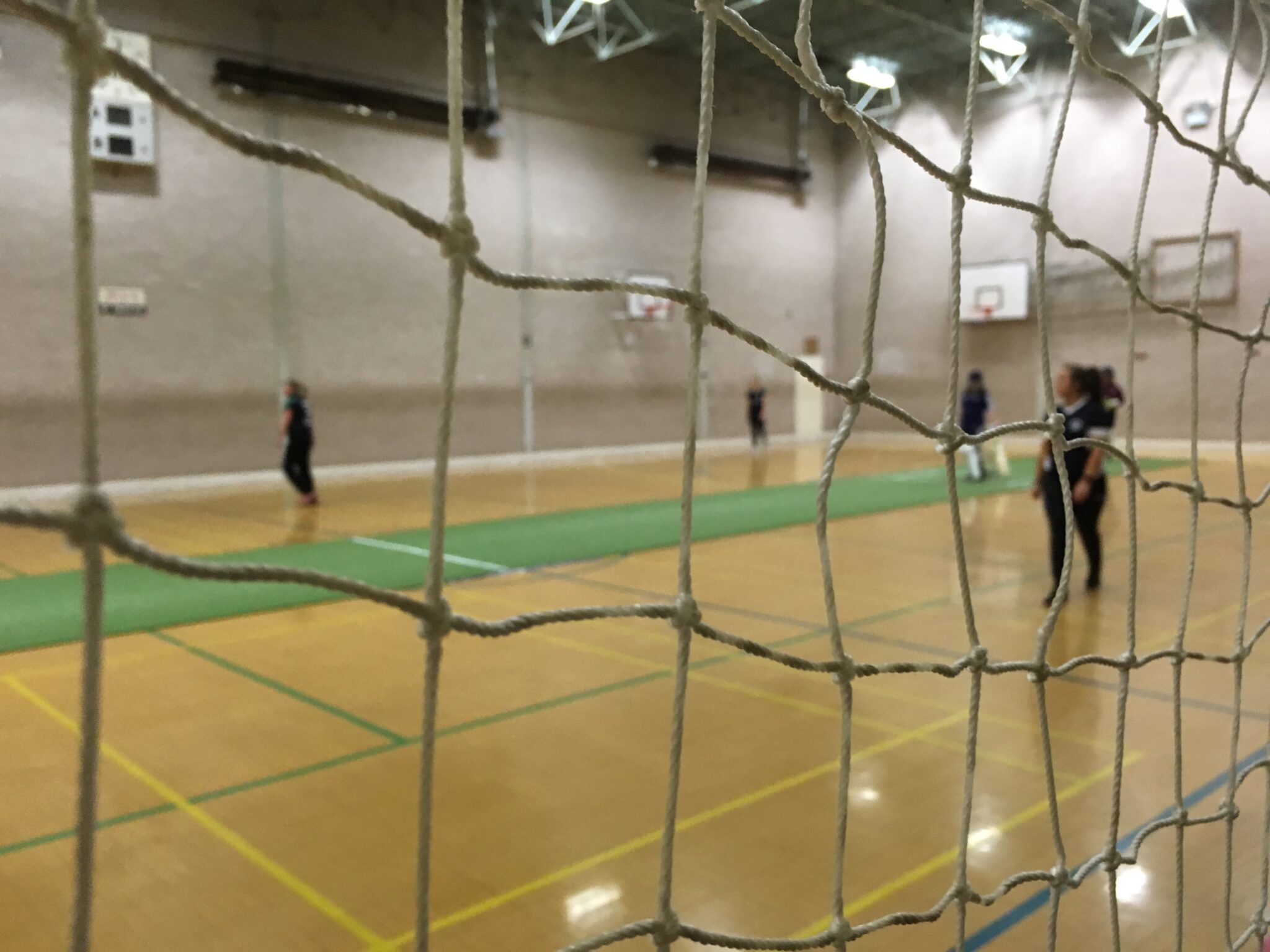 Extra indoor cricket sessions for girls Cricket Shropshire