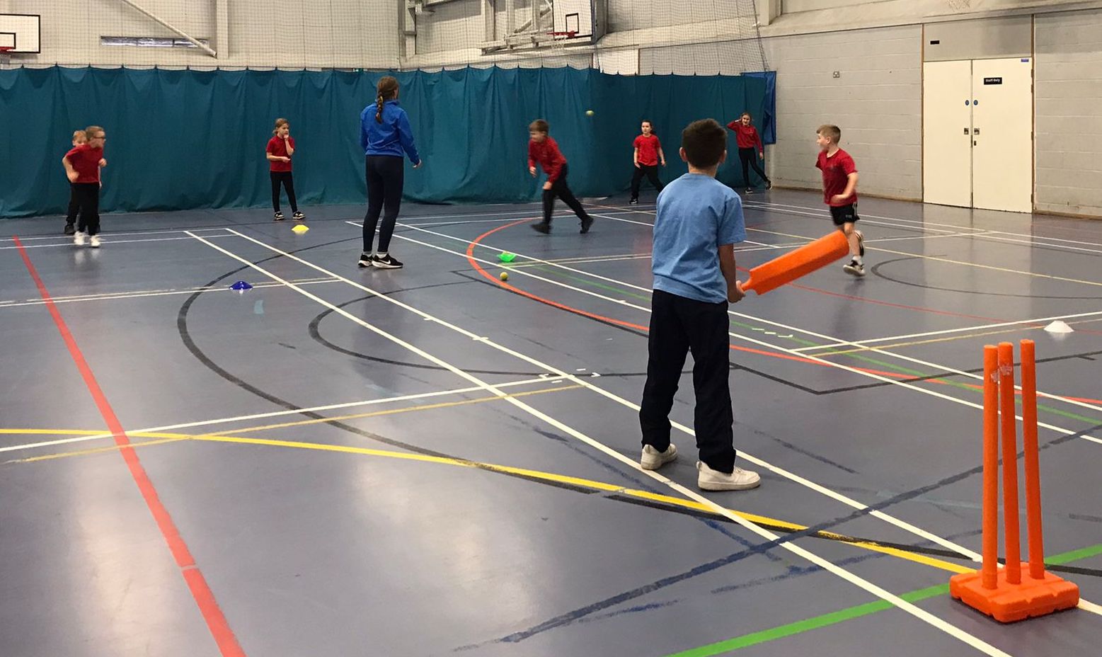 Schools enjoy day out at cricket festival